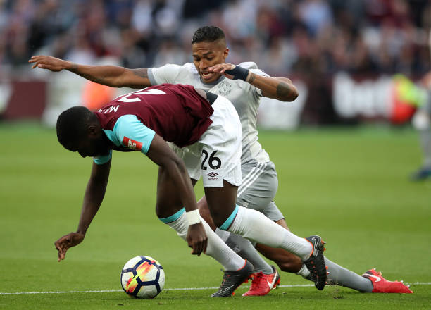 生态互惠的 生态互惠的